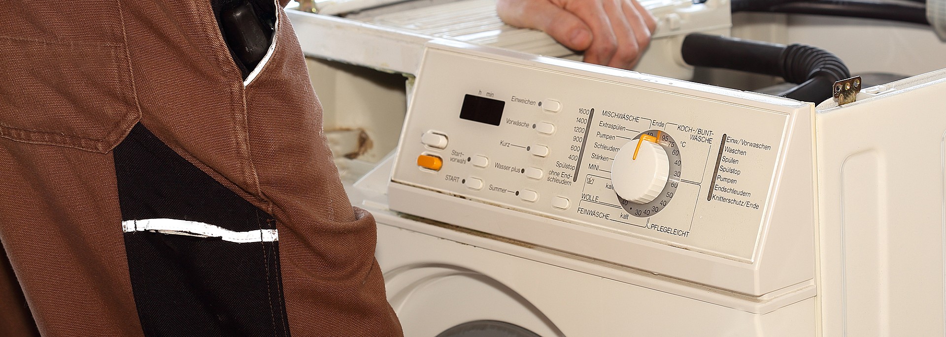 002--miele_114639129.jpg